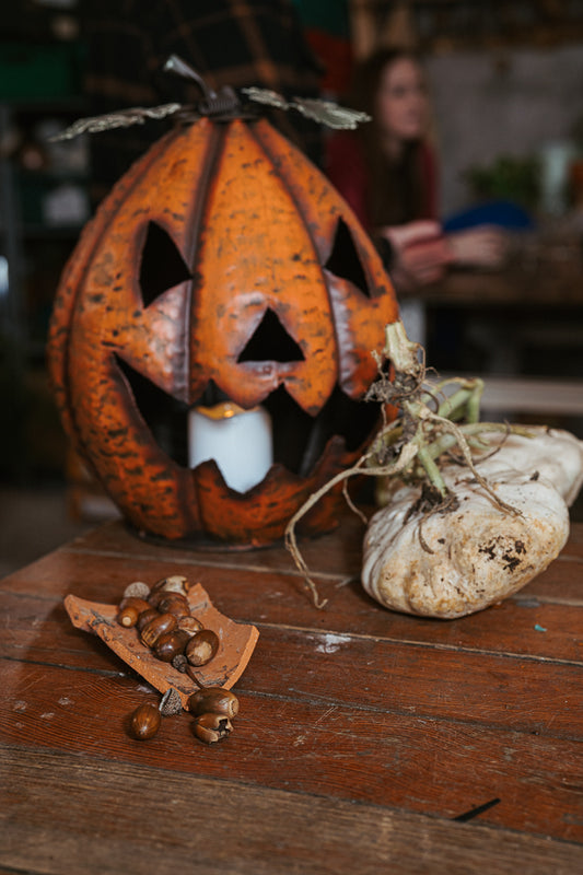 🎃 October – Autumn Abundance Saturday 24th October 2026